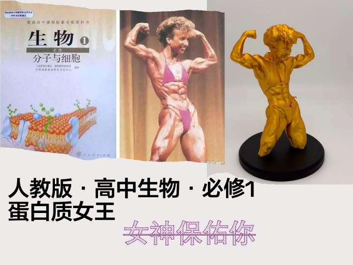 【高中生物必修1-蛋白质女王】奖杯（抽象系列）
