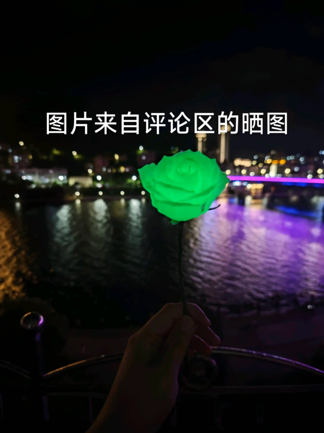 情人节·七夕·夜光玫瑰花(无支撑免胶水)