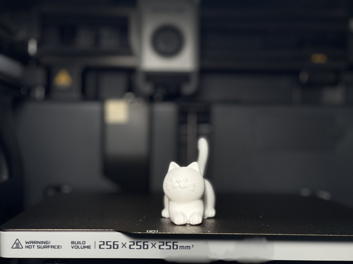 猫咪 创意摆件