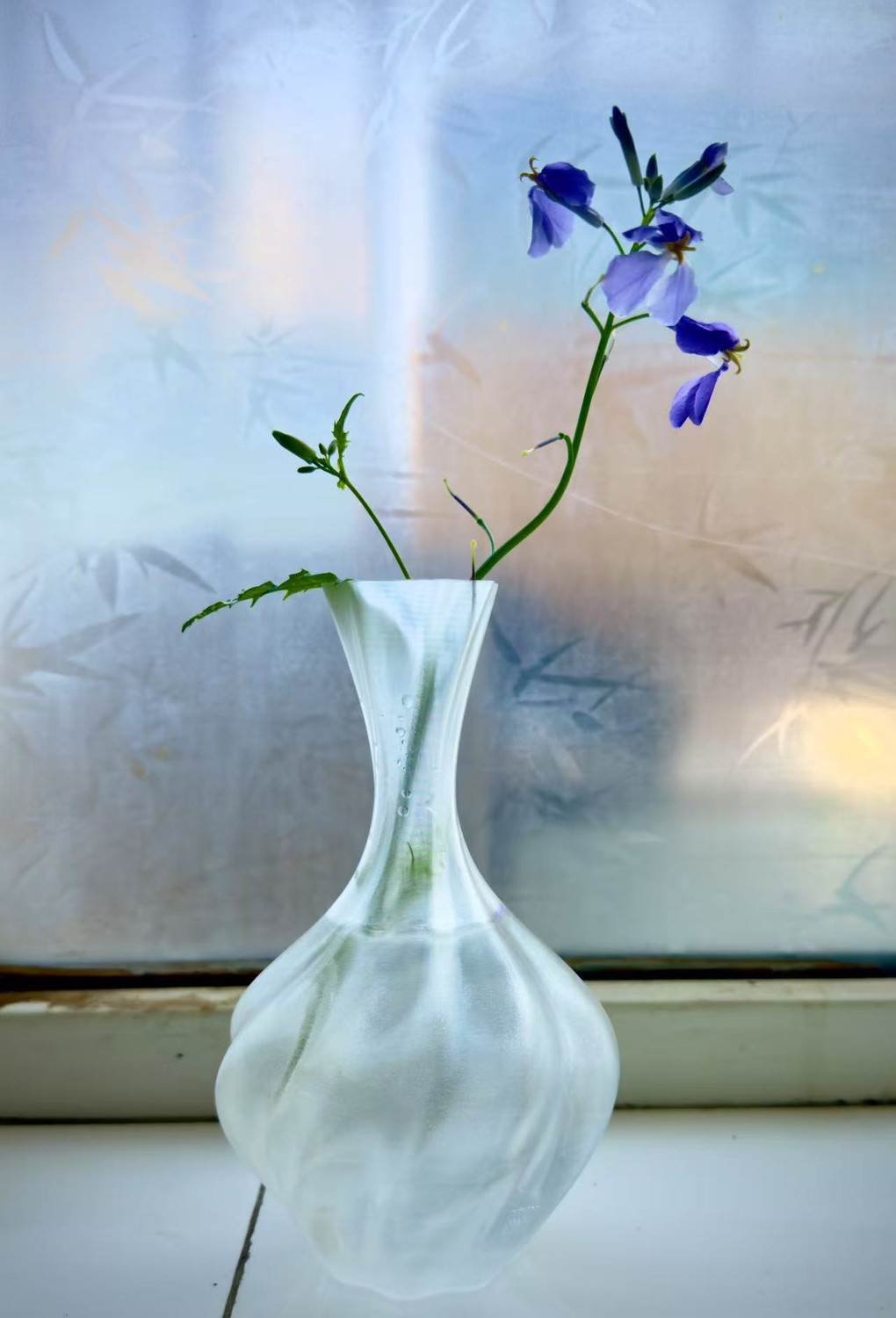 透明不漏水花瓶