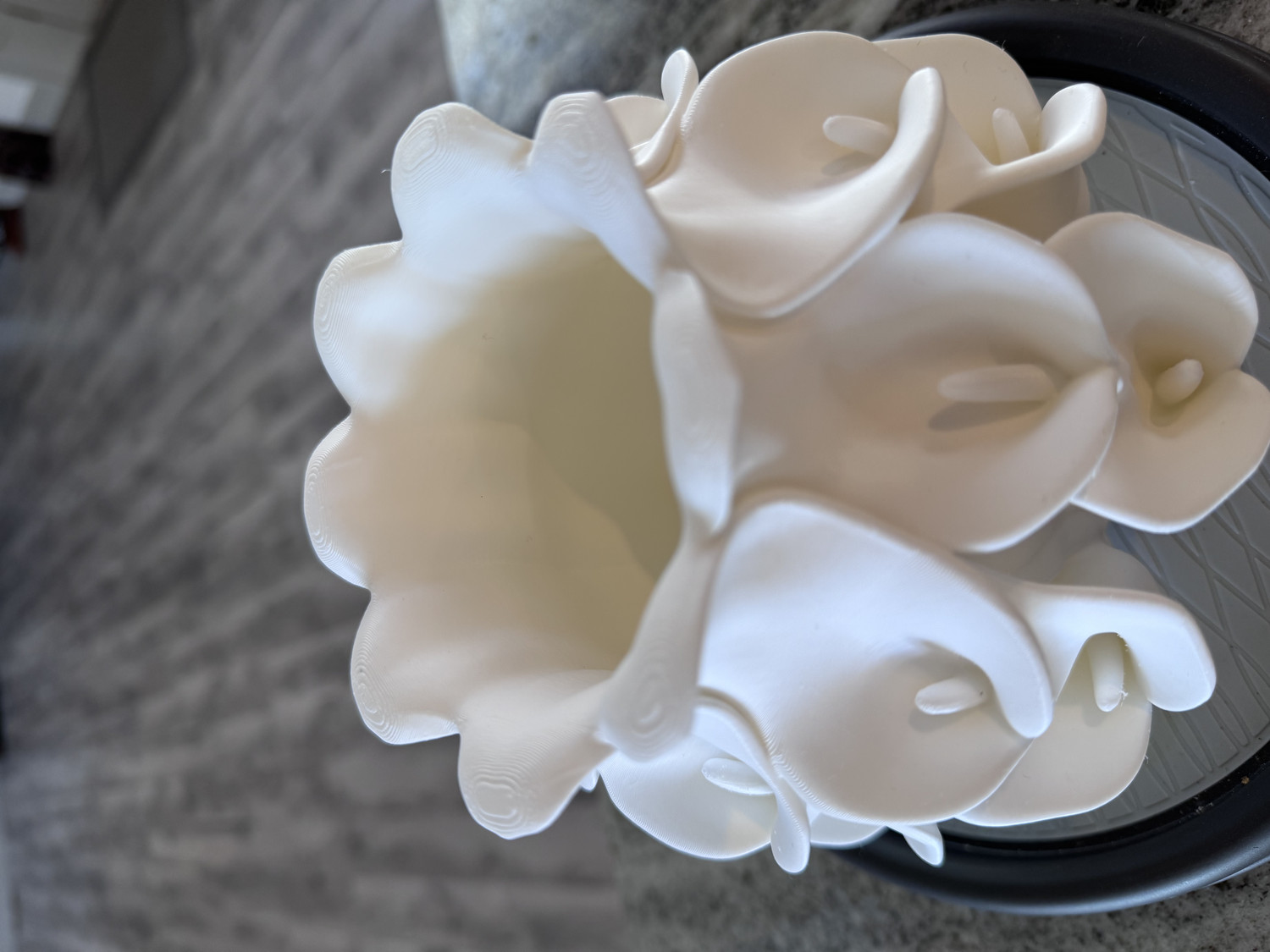 复活节马蹄莲花瓶