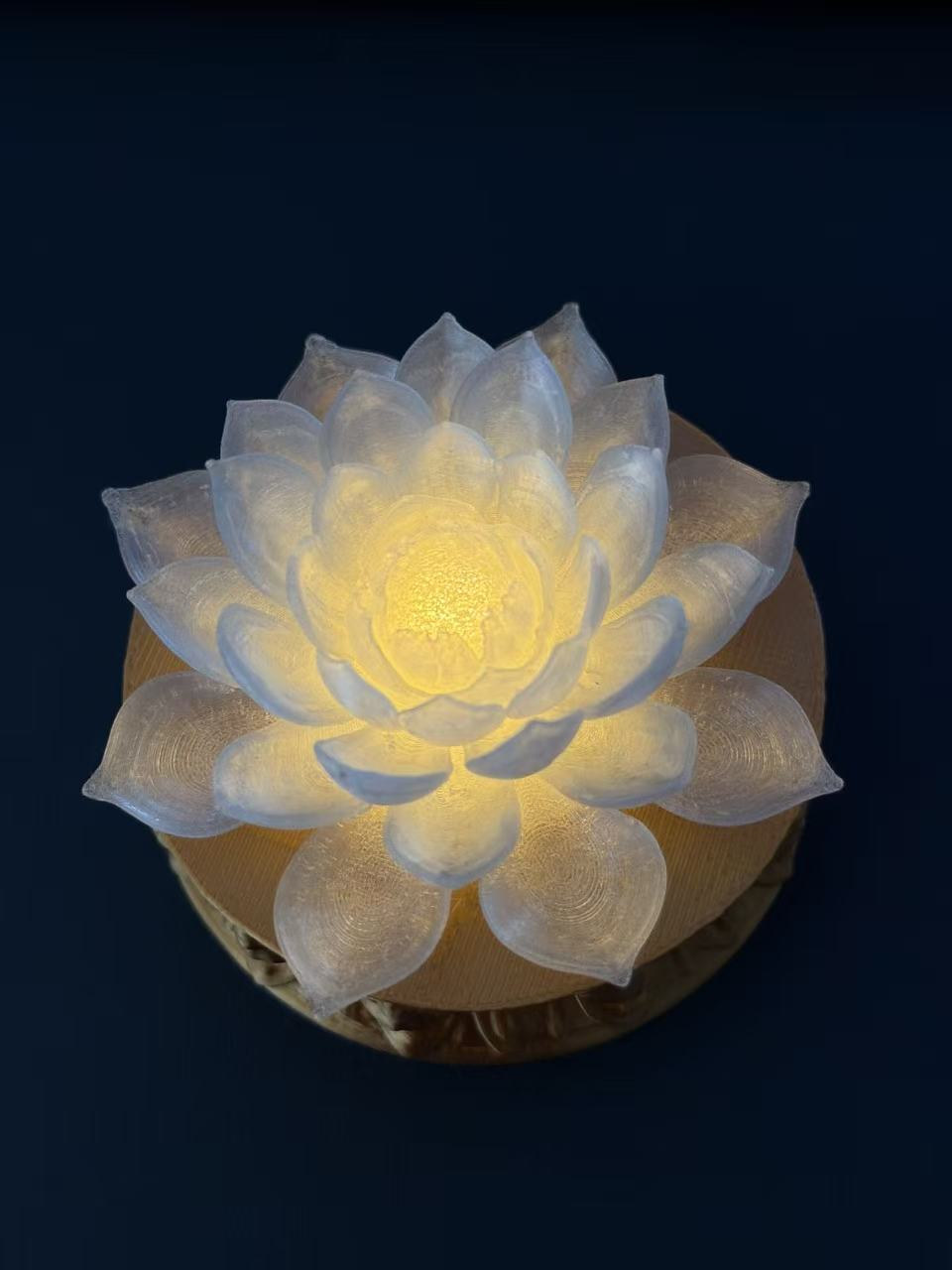 超棒氛围感！透明莲花小灯+底座