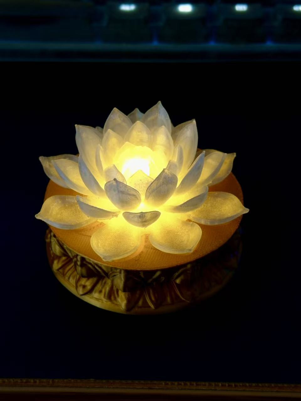超棒氛围感！透明莲花小灯+底座