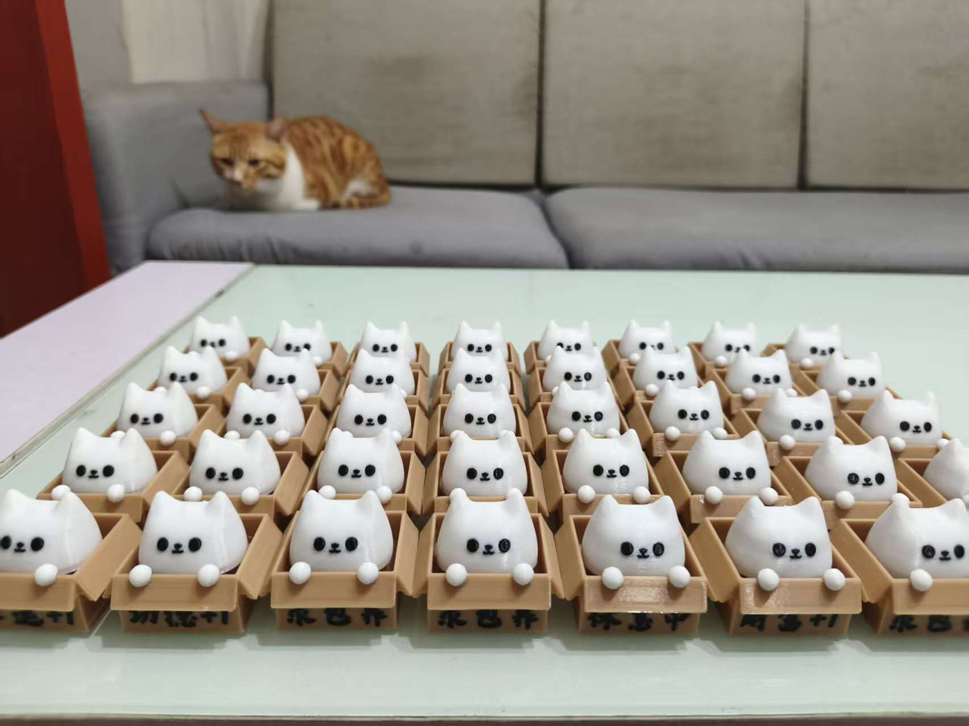 求包养箱子猫-点击解压玩具（支持自定义文字）