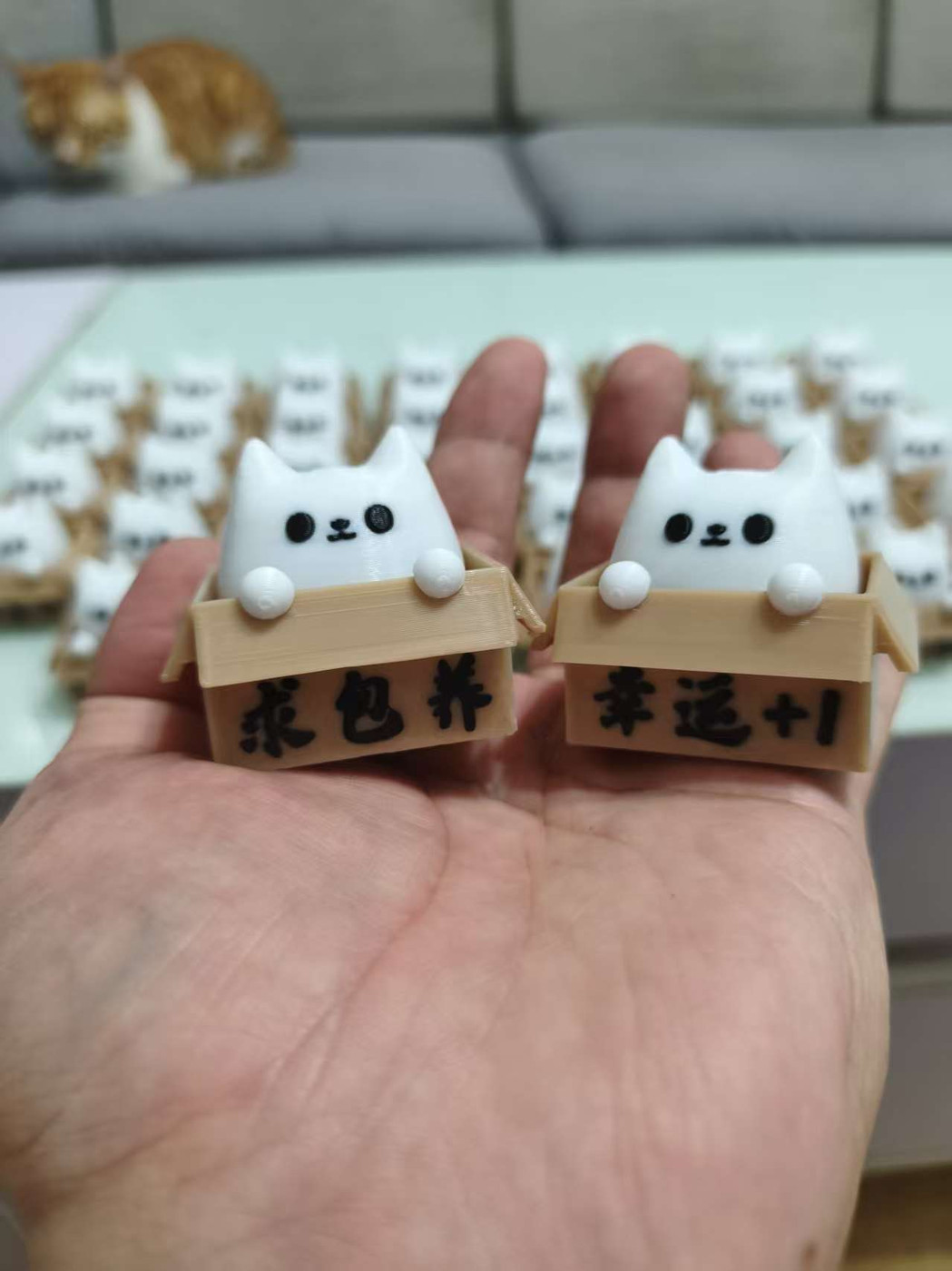 求包养箱子猫-点击解压玩具（支持自定义文字）