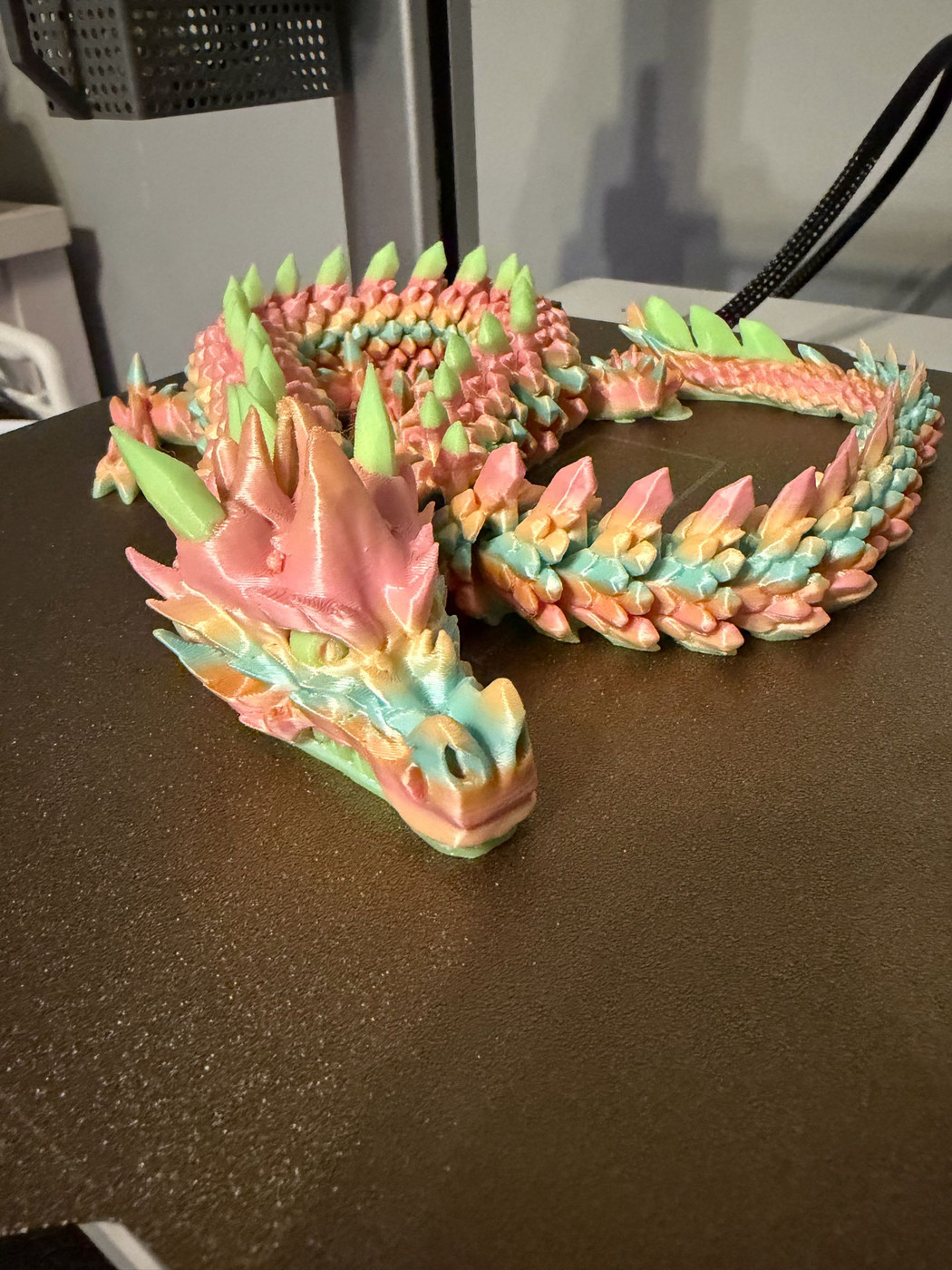 大型可活动关节的龙