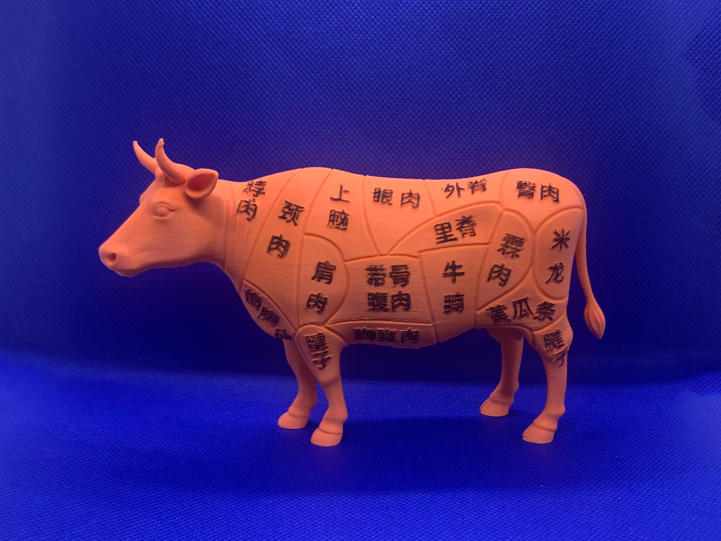 牛肉分割模型
