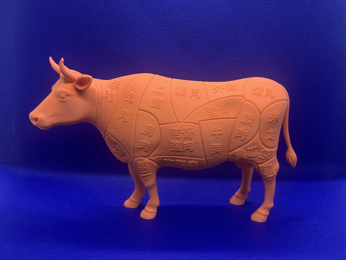牛肉分割模型