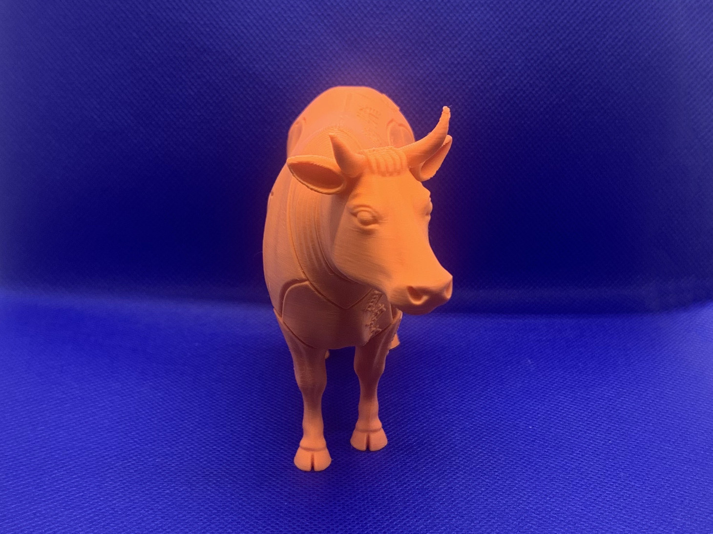 牛肉分割模型