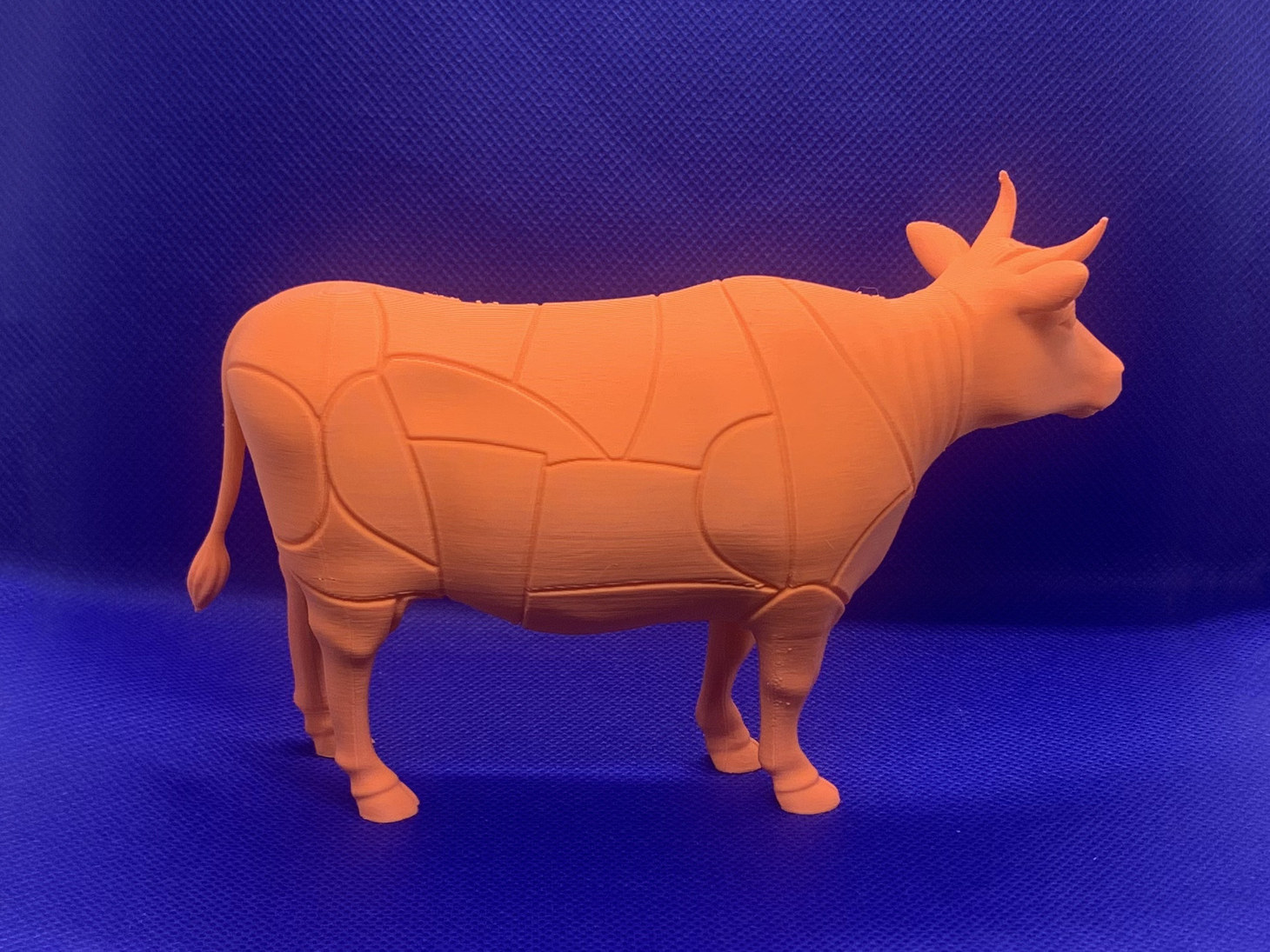 牛肉分割模型