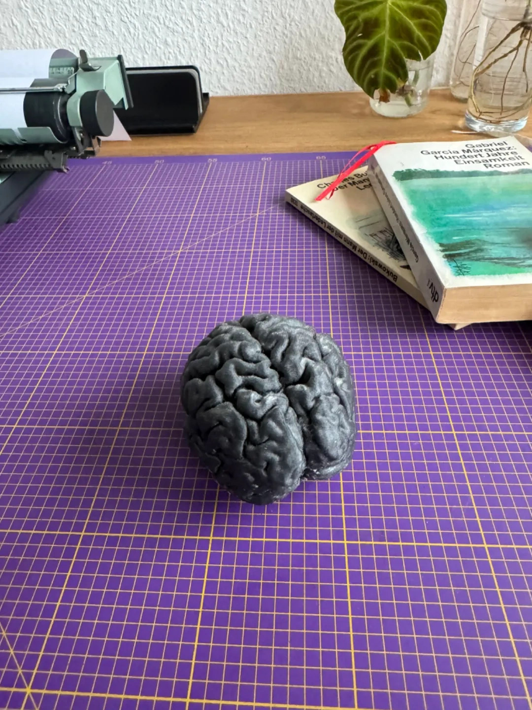 人类大脑