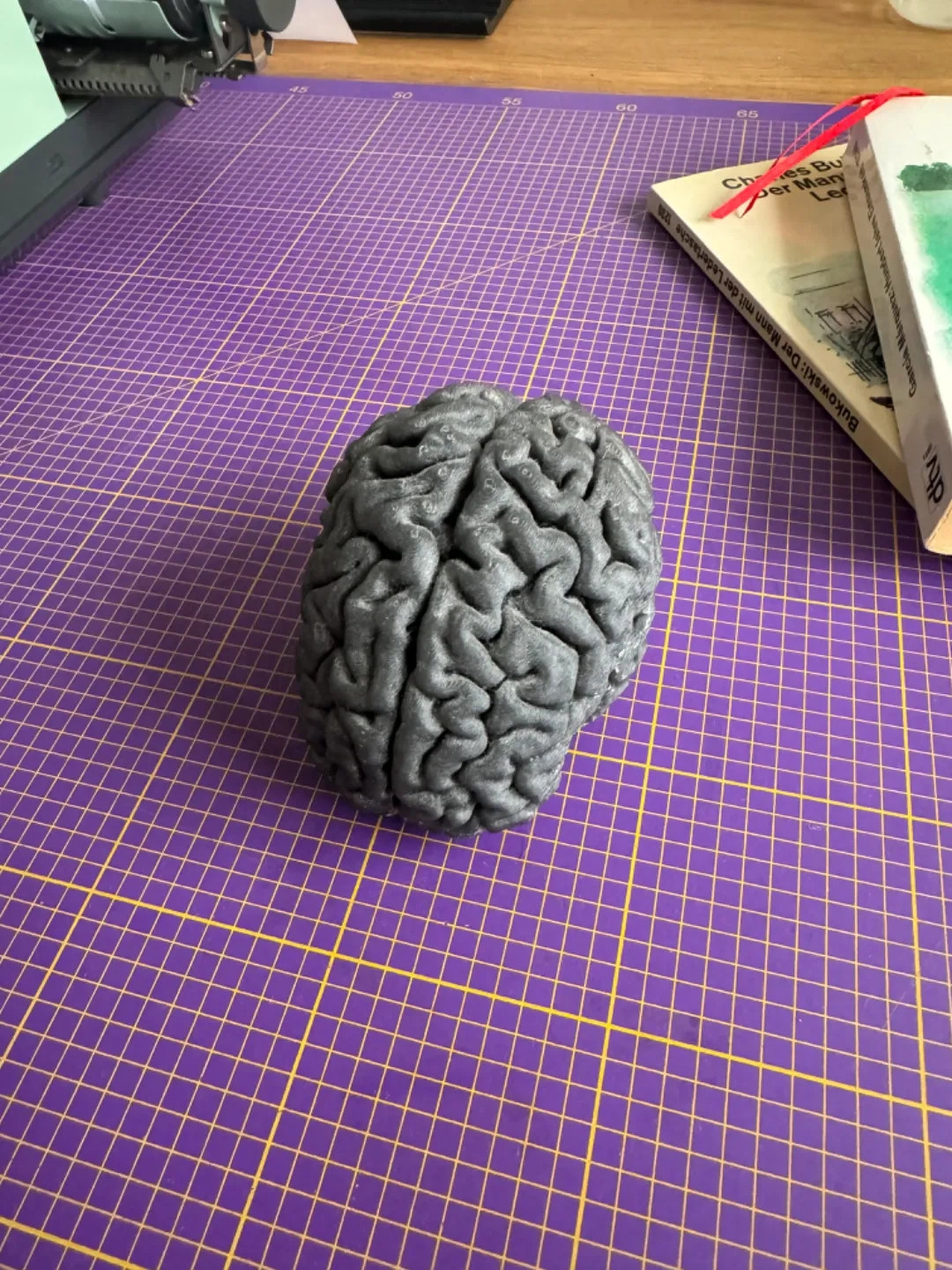 人类大脑